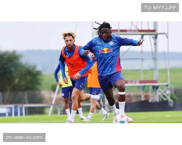 莱比锡锋线巴卡约科因伤缺阵 进一步削弱进攻力